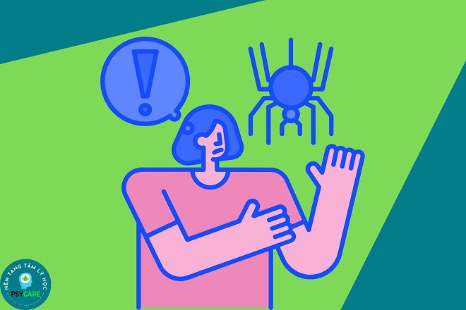 Top 10 nỗi sợ phổ biến nhất của con người và cách vượt qua 2 hội chứng sợ nhện Arachnophobia
