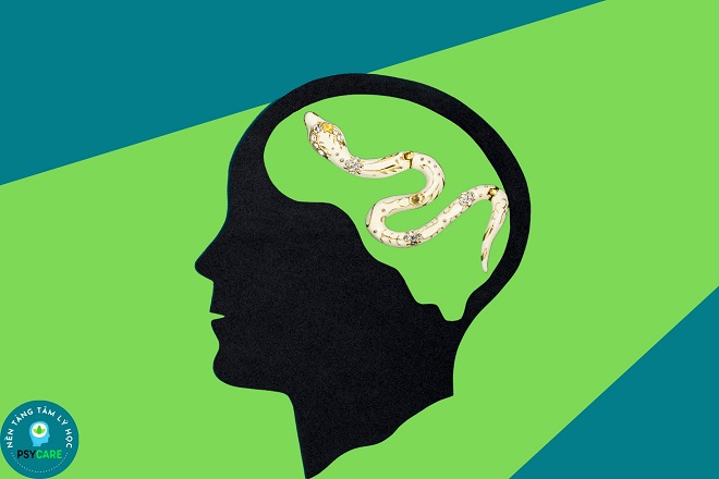 Hội chứng sợ bò sát Herpetophobia: Tại sao lại sợ thằn lằn, rắn? 3 cách xử lý nỗi sợ hãi bò sát