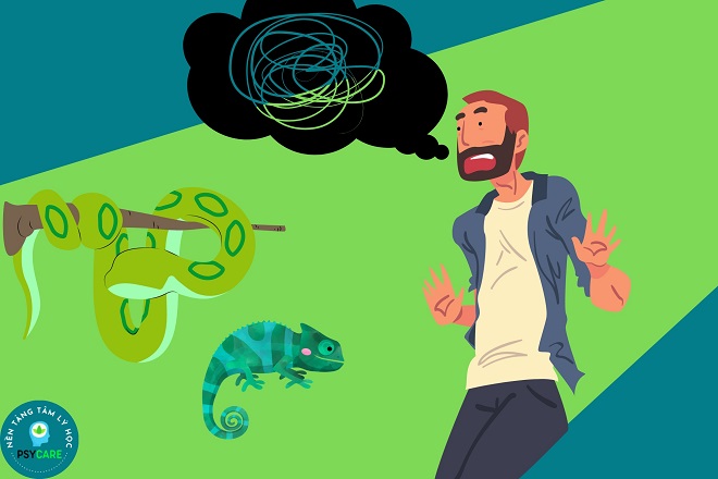 Hội chứng sợ bò sát Herpetophobia: Tại sao lại sợ thằn lằn, rắn? 4 thay đổi suy nghĩ vượt qua nỗi sợ bò sát